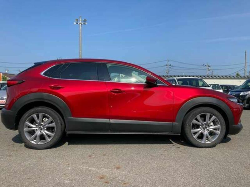CX-30