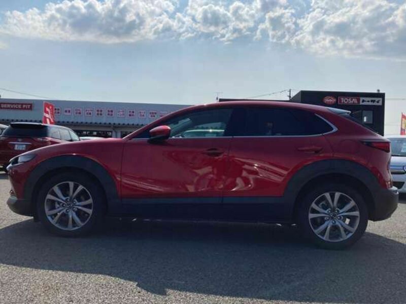 CX-30