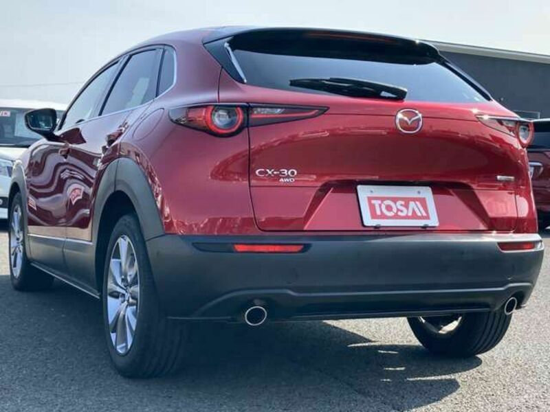 CX-30