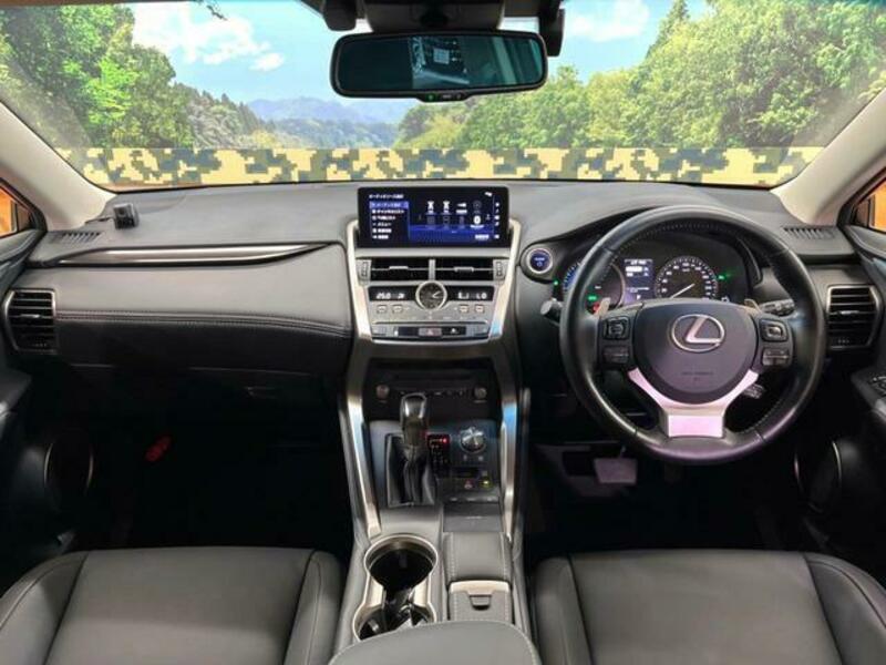 NX