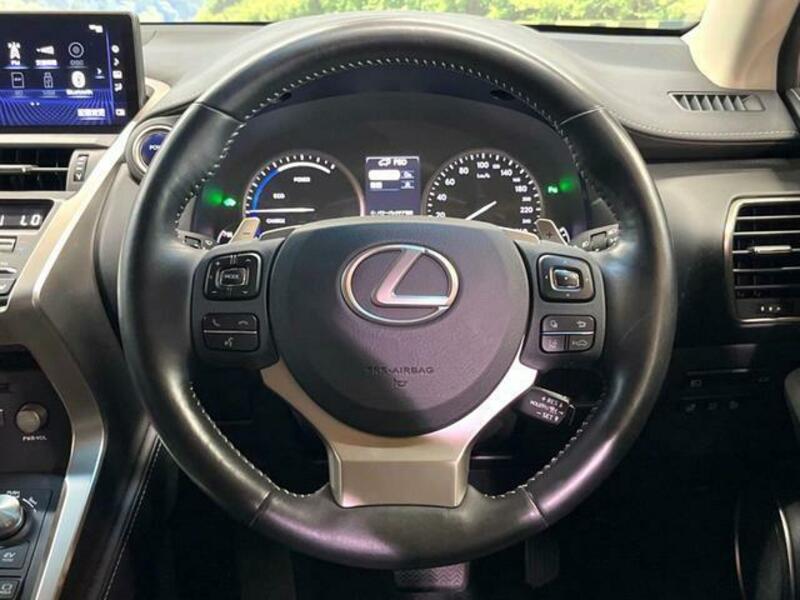 NX