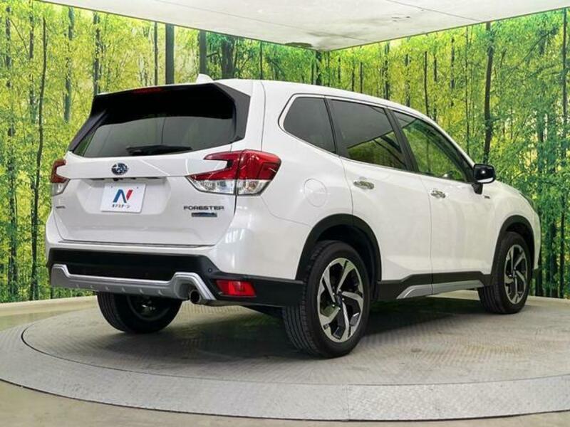 FORESTER