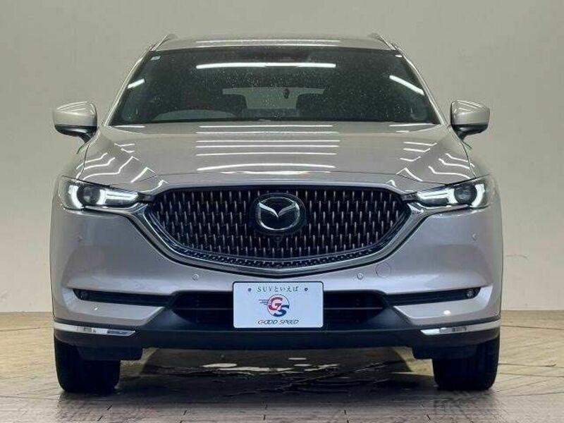 CX-8-2