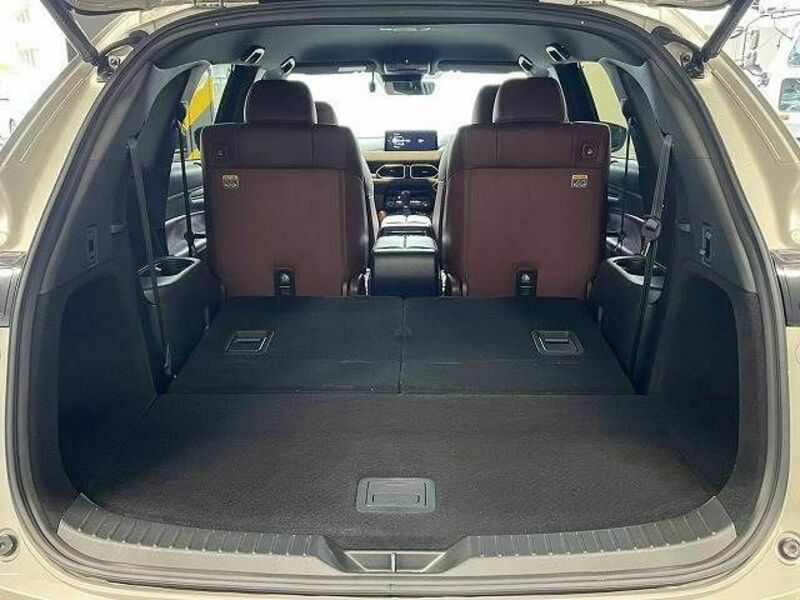 CX-8-13