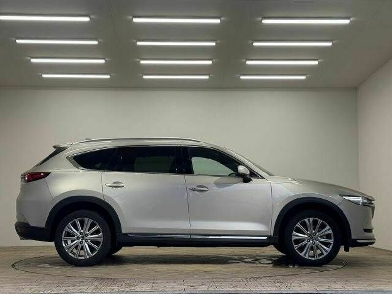 CX-8-15
