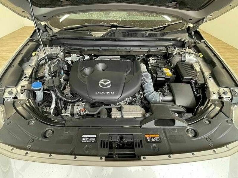 CX-8-17