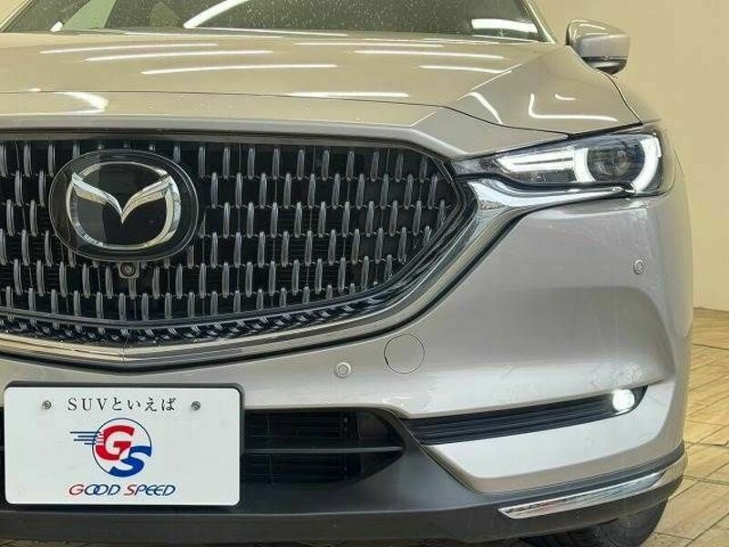 CX-8-18