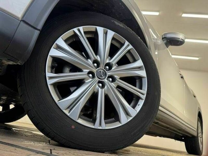 CX-8-19
