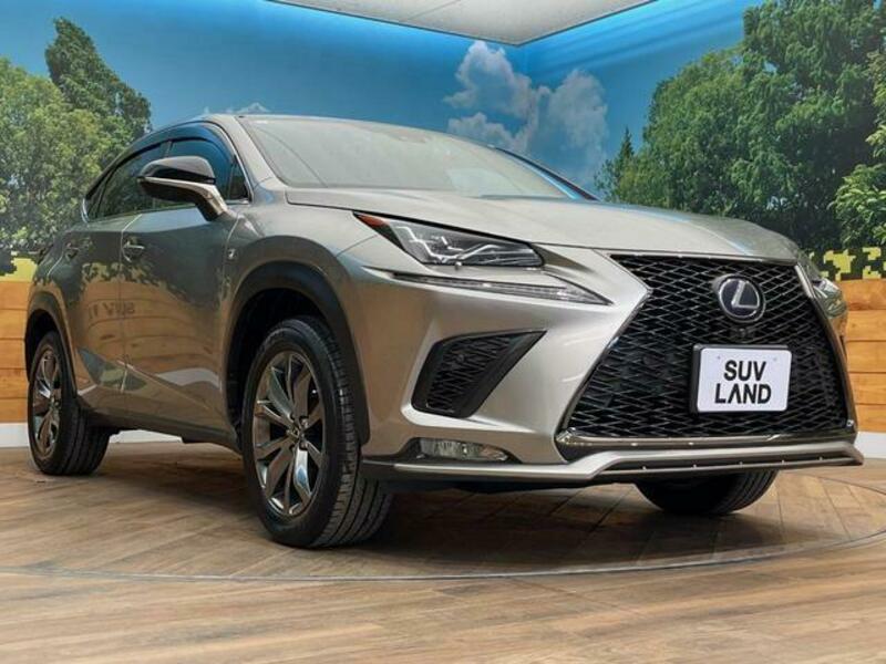 NX