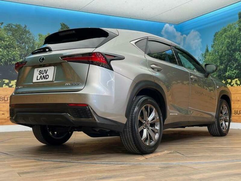 NX