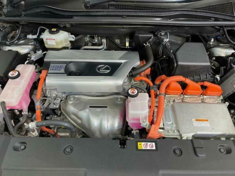 NX
