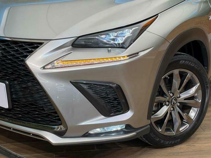 NX