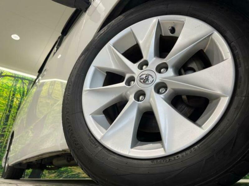 ALPHARD-13