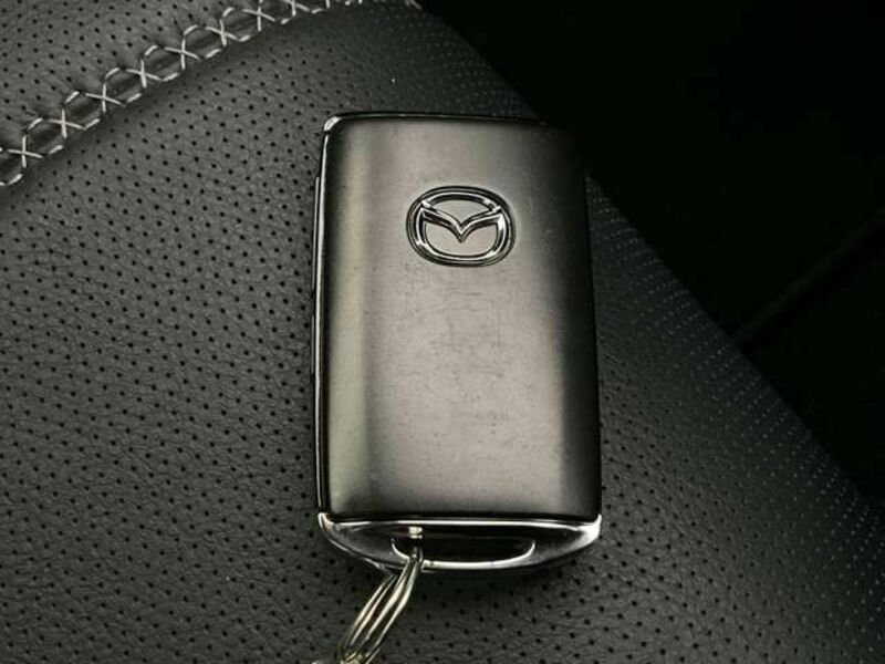 ROADSTER RF