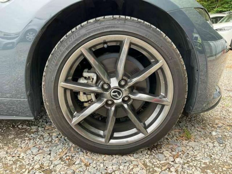 ROADSTER RF