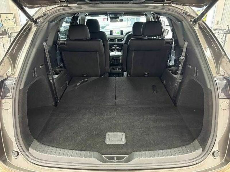 CX-8-10