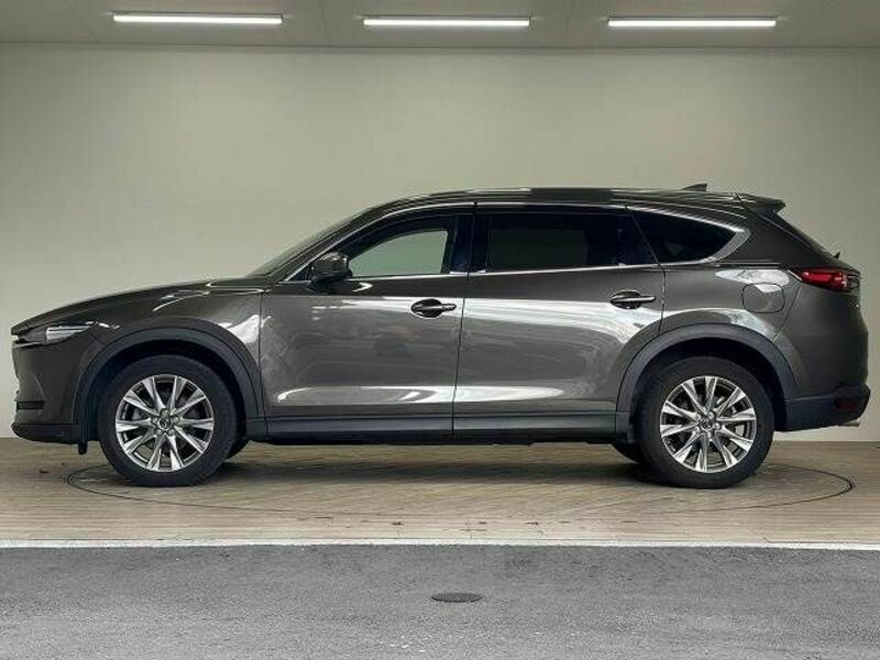 CX-8-13