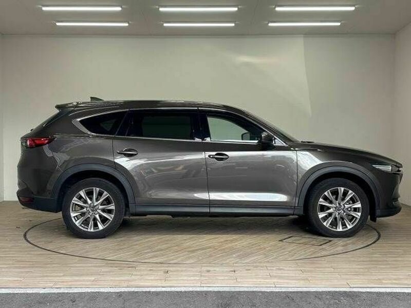 CX-8-14
