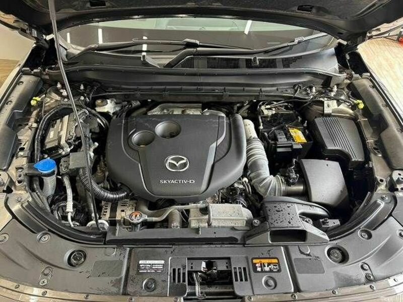 CX-8-19