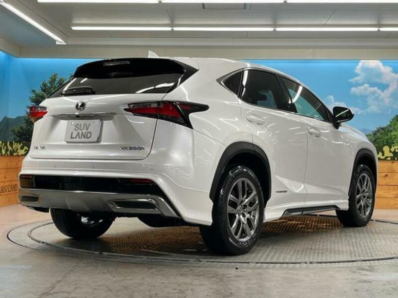 NX