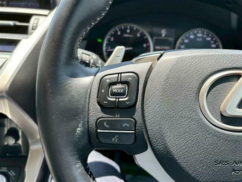 NX