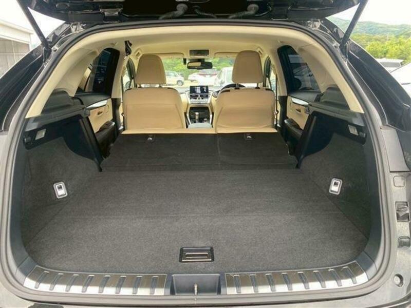 NX