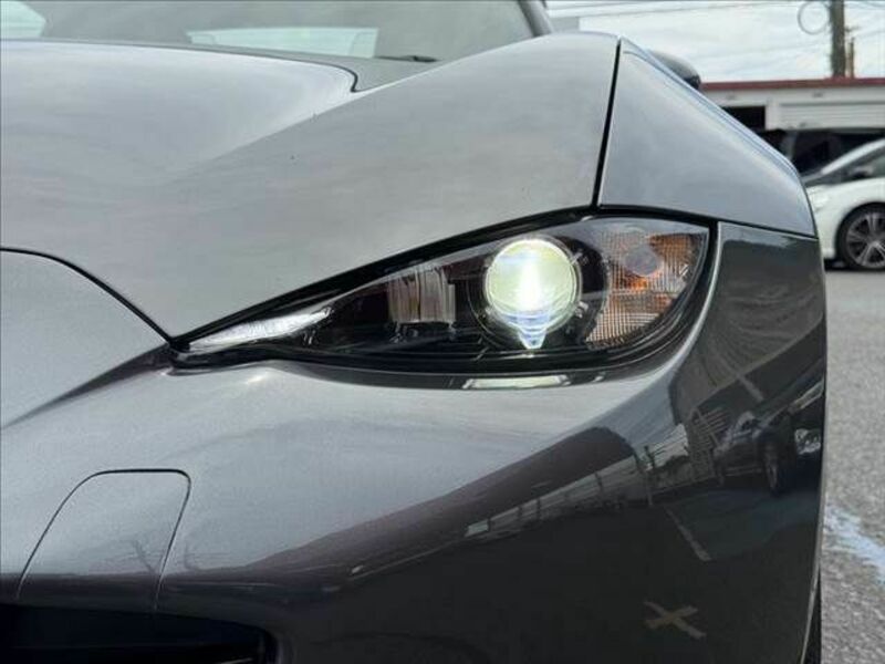 ROADSTER RF