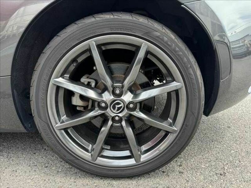 ROADSTER RF