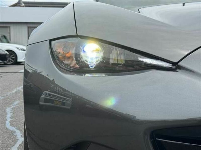 ROADSTER RF