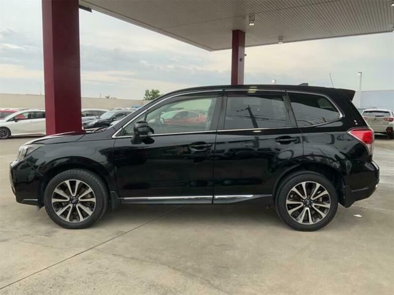 FORESTER