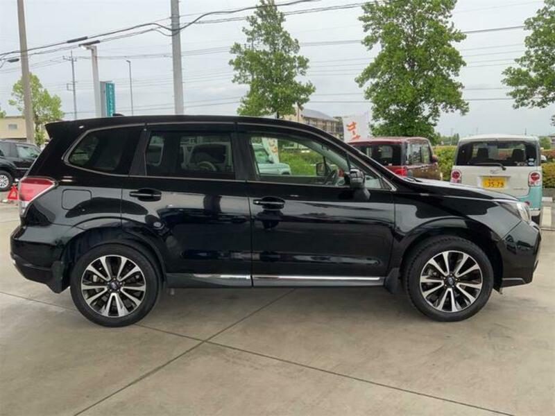 FORESTER