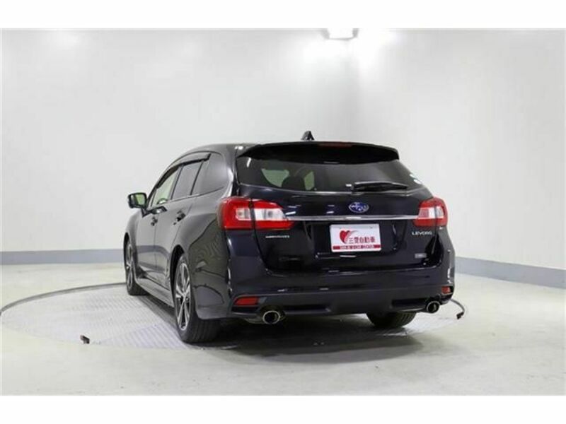 LEVORG