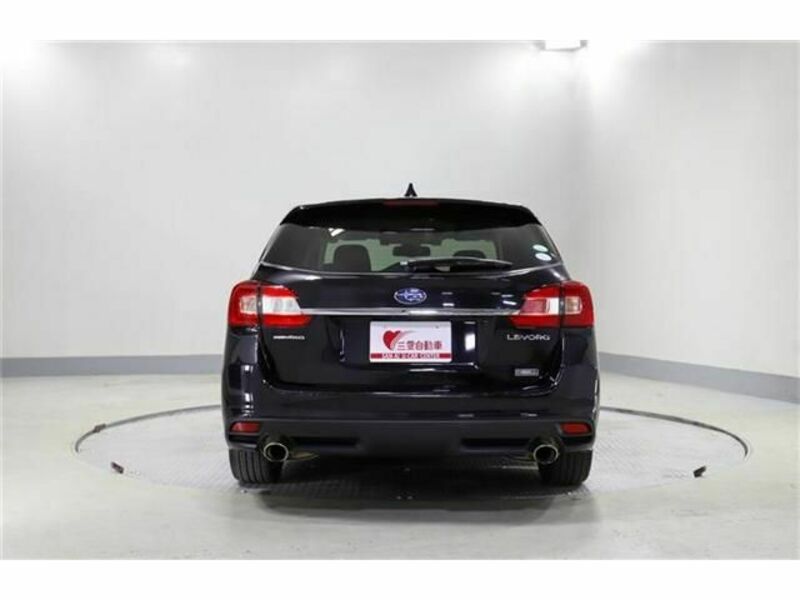 LEVORG