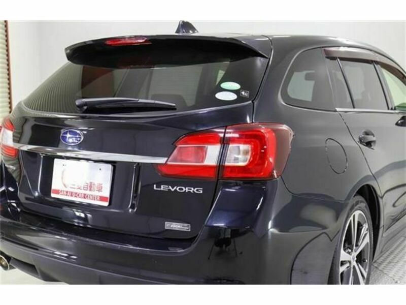 LEVORG