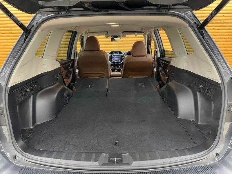 FORESTER-19