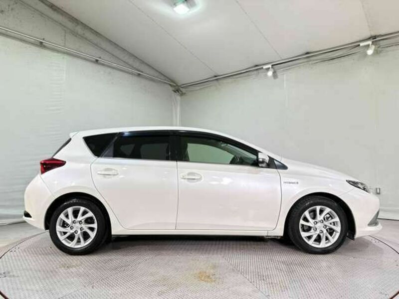 AURIS HYBRID