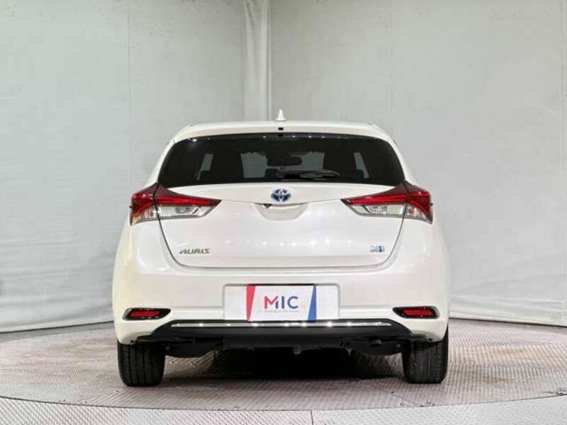 AURIS HYBRID