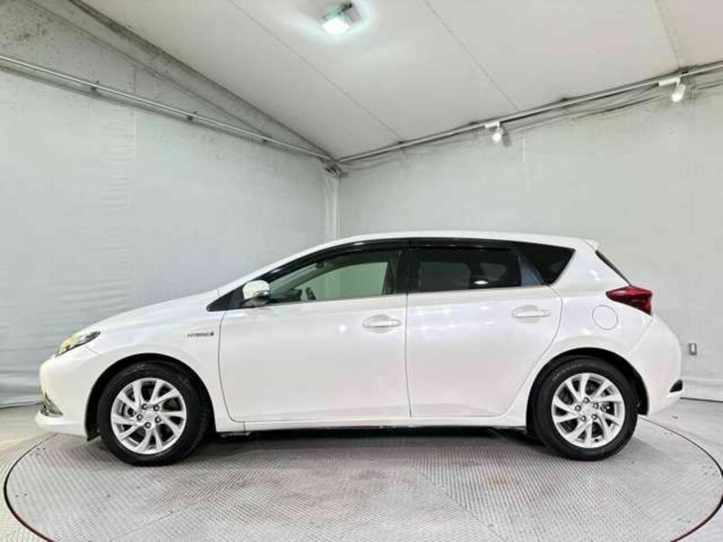 AURIS HYBRID