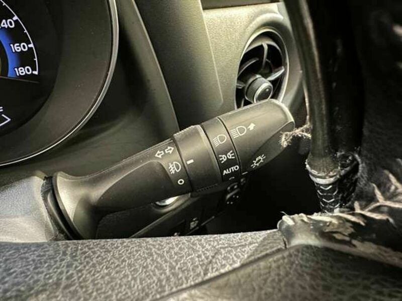 AURIS HYBRID