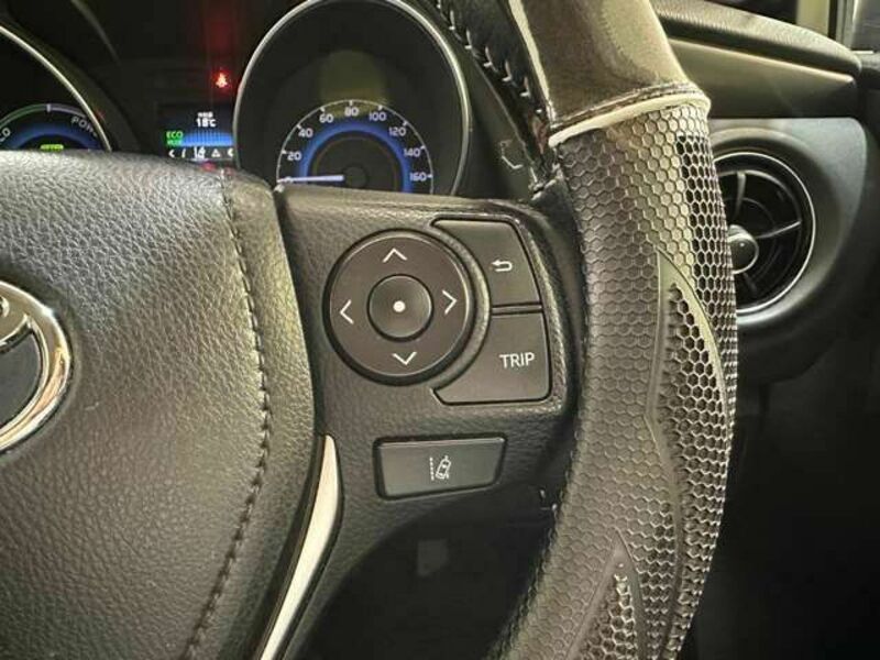 AURIS HYBRID