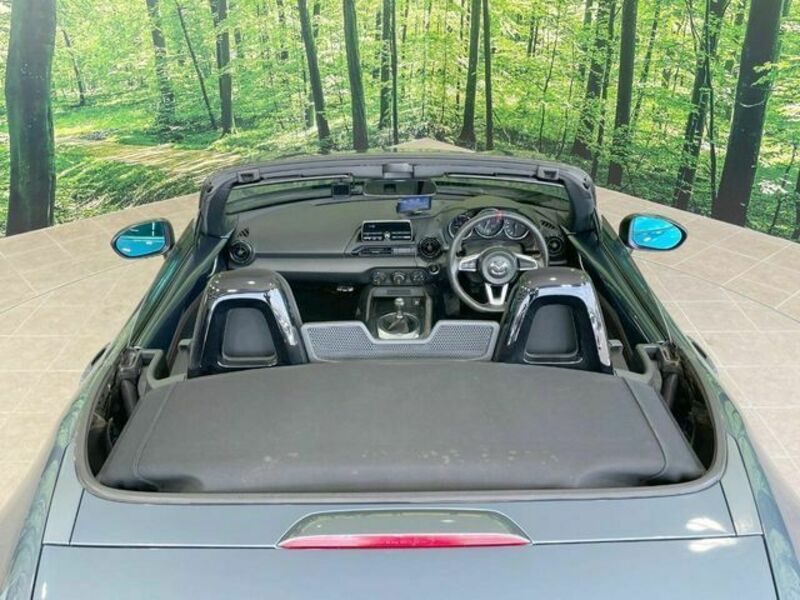 ROADSTER