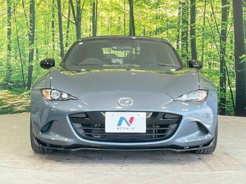 ROADSTER