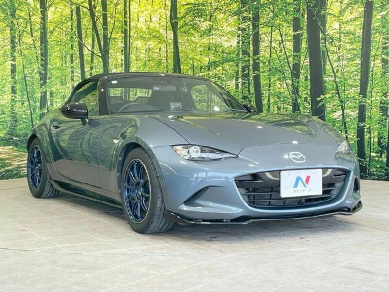 ROADSTER