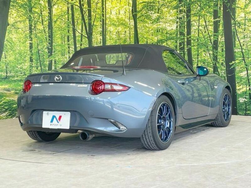 ROADSTER