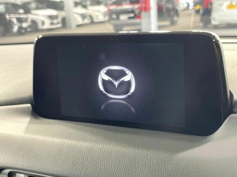 CX-8-2