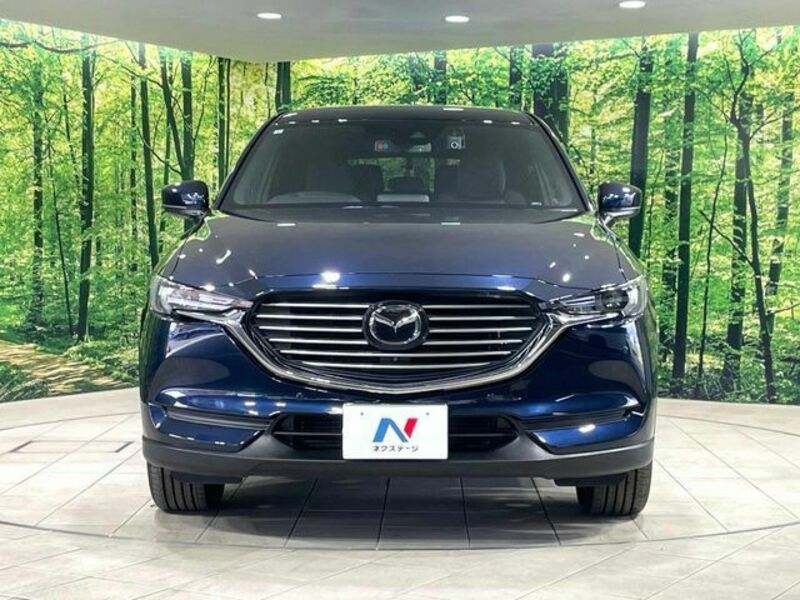 CX-8-14