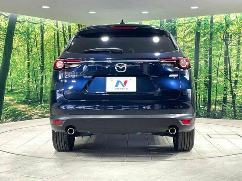 CX-8-15