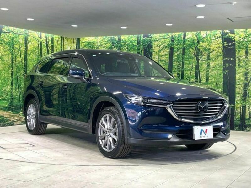 CX-8-16