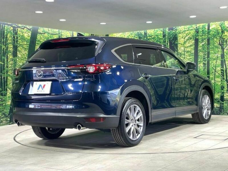 CX-8-17