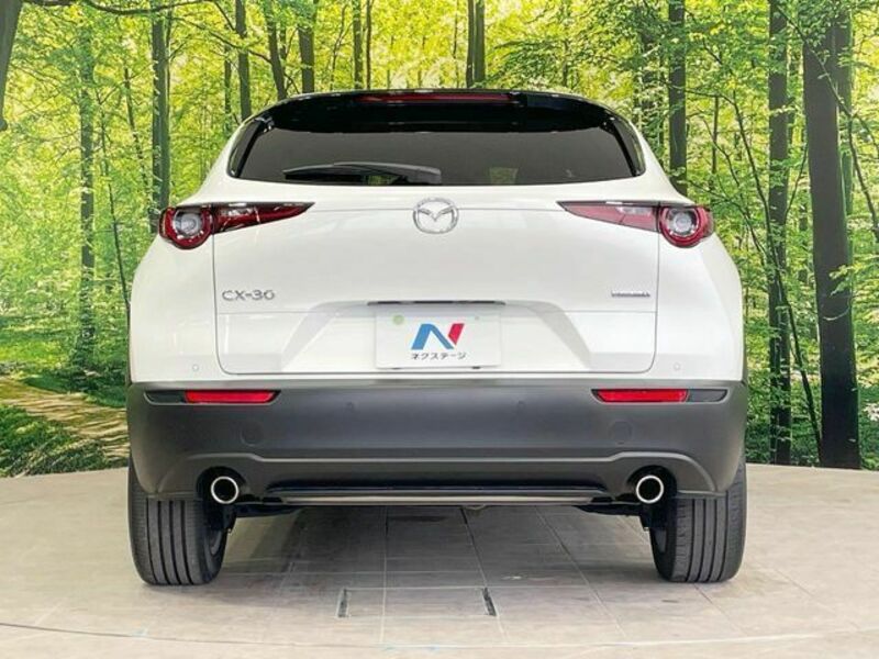 CX-30
